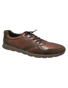 Zapato deportivo hombre marrón